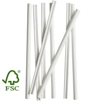 Roerstokjes papier FSC® Wit 140mm Ø6mm in houder 1.000st.